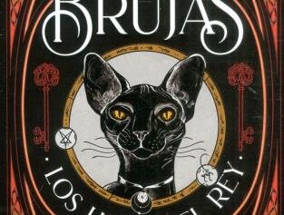 ASESINO DE BRUJAS 2 LOS HIJOS DEL REY