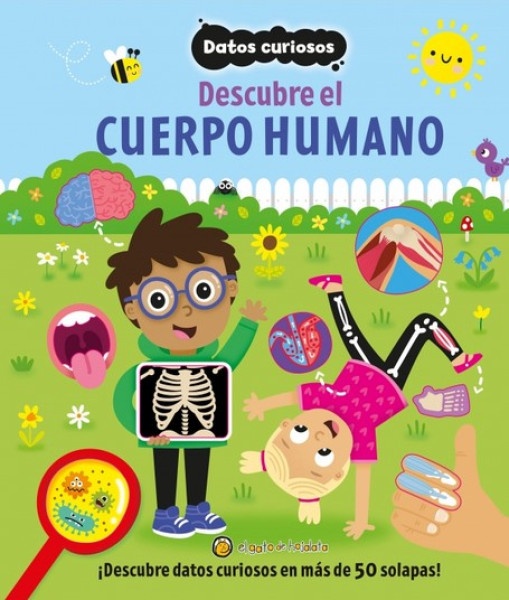 DATOS CURIOSOS - CUERPO HUMANO