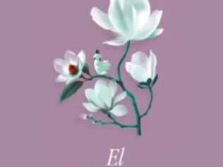 EL AMOR, LAS MUJERES Y LA VIDA