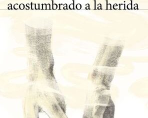 La soledad de un cuerpo acostumbrado a la herida