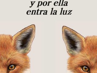 En todo hay una grieta y por ella entra la luz