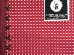 Grafías del insecto