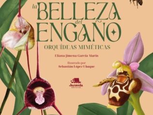 LA BELLEZA DEL ENGAÑO