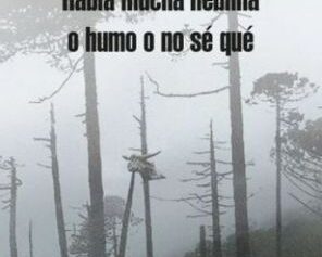 HABIA MUCHA NIEBLA O HUMO O NO SE QUE