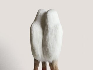 Catálogo de aves muertas